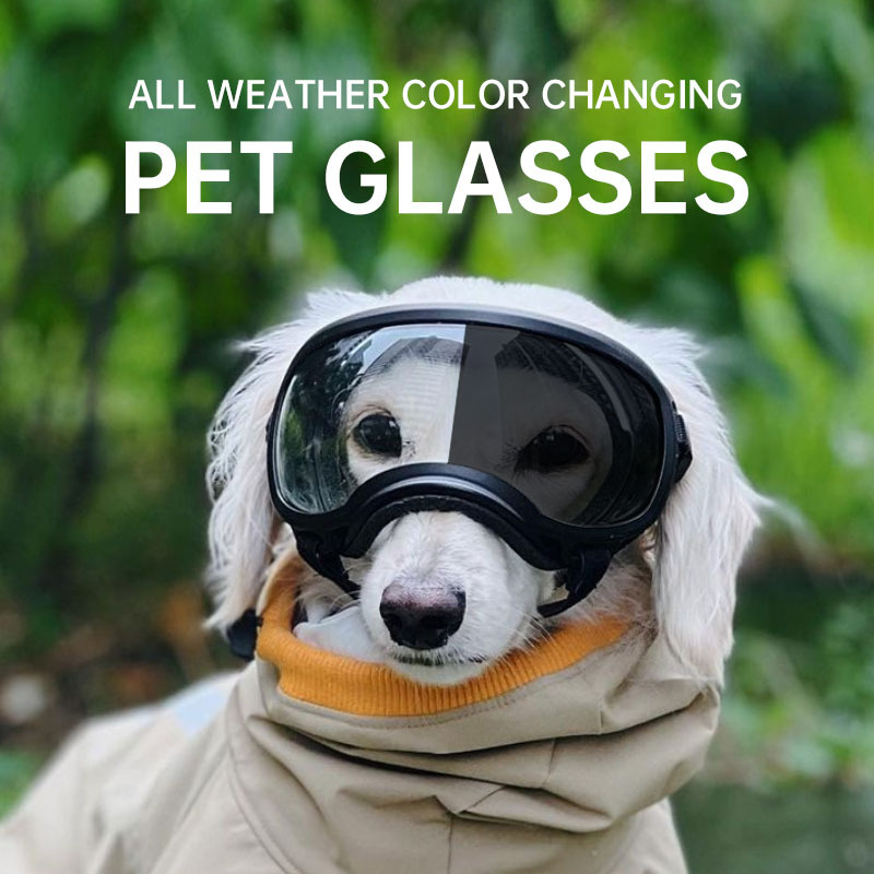 Snow Goggle Uv - Occhiali per animali domestici che cambiano