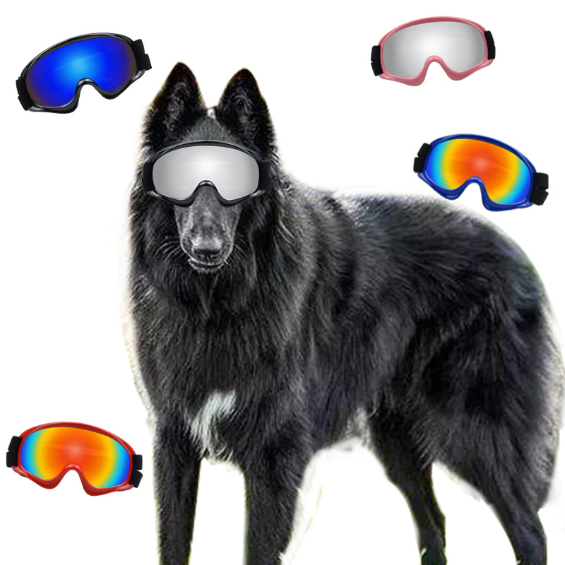 Prodotti per Animali Domestici - Snow Goggle Uv recensione e prezzo