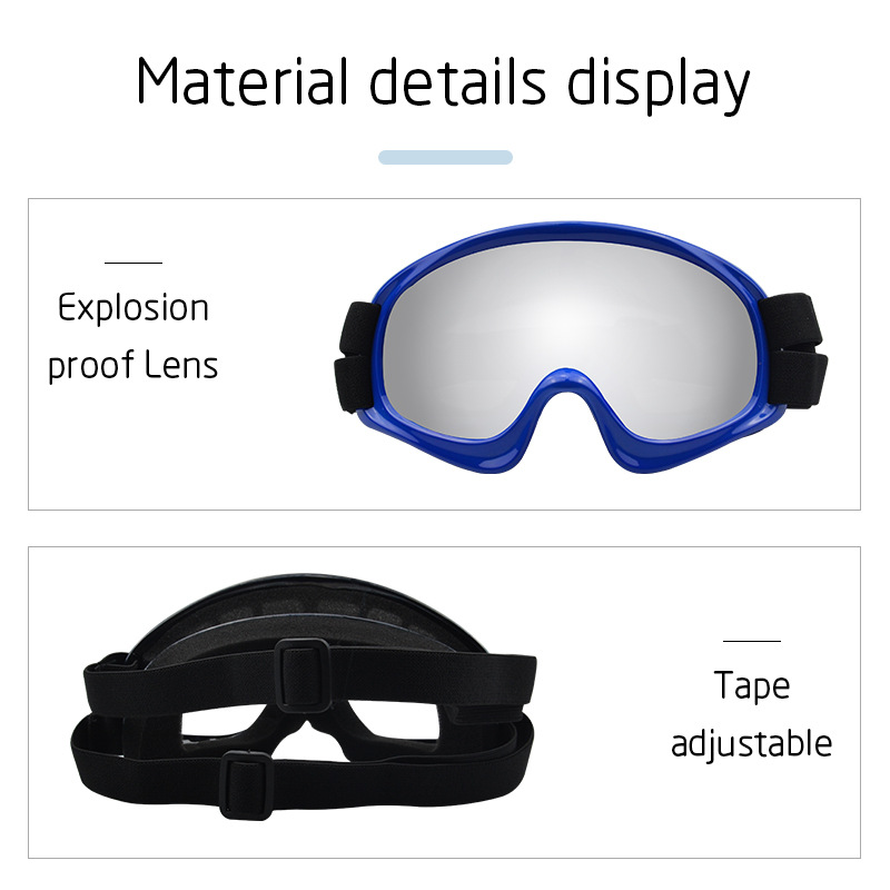 Prodotti per Animali Domestici - Snow Goggle Uv recensione e prezzo