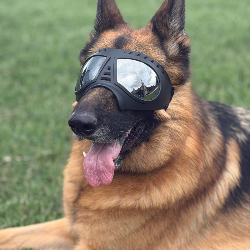 Occhiali per Animali Domestici - Snow Goggle Uv recensione e prezzo