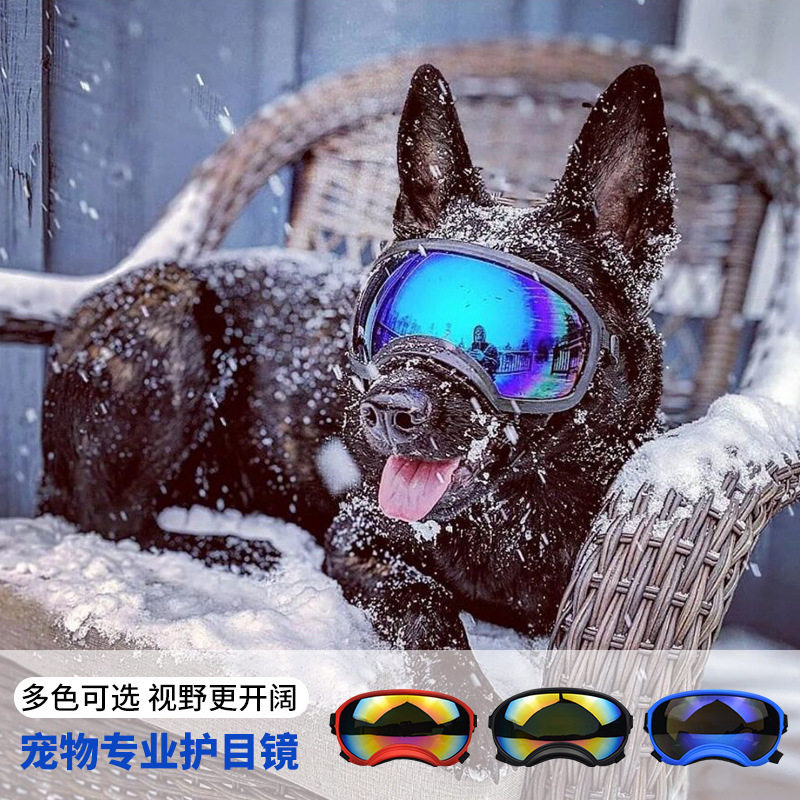 Occhiali per Cani da Sci all'A - Snow Goggle Uv recensione e prezzo