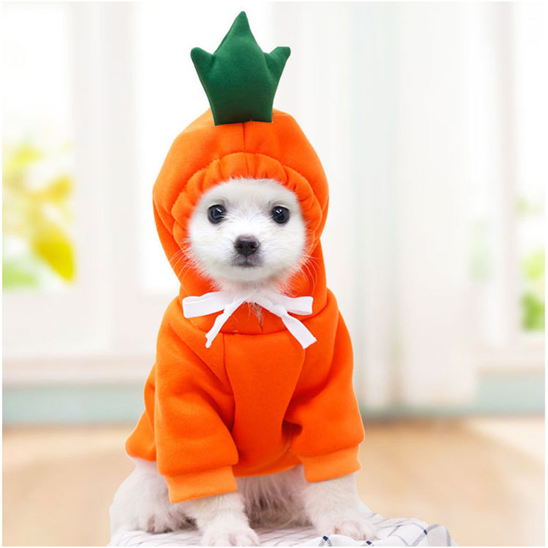 Simpatici vestiti per cani da  - Winter Clothing Pictures recensione e prezzo