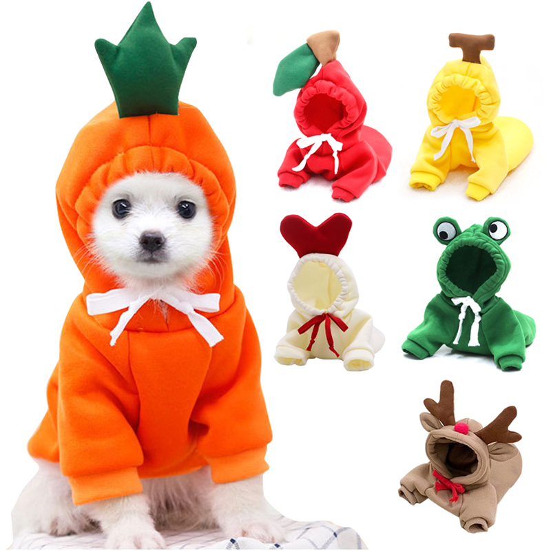 Simpatici vestiti per cani da  - Winter Clothing Pictures recensione e prezzo