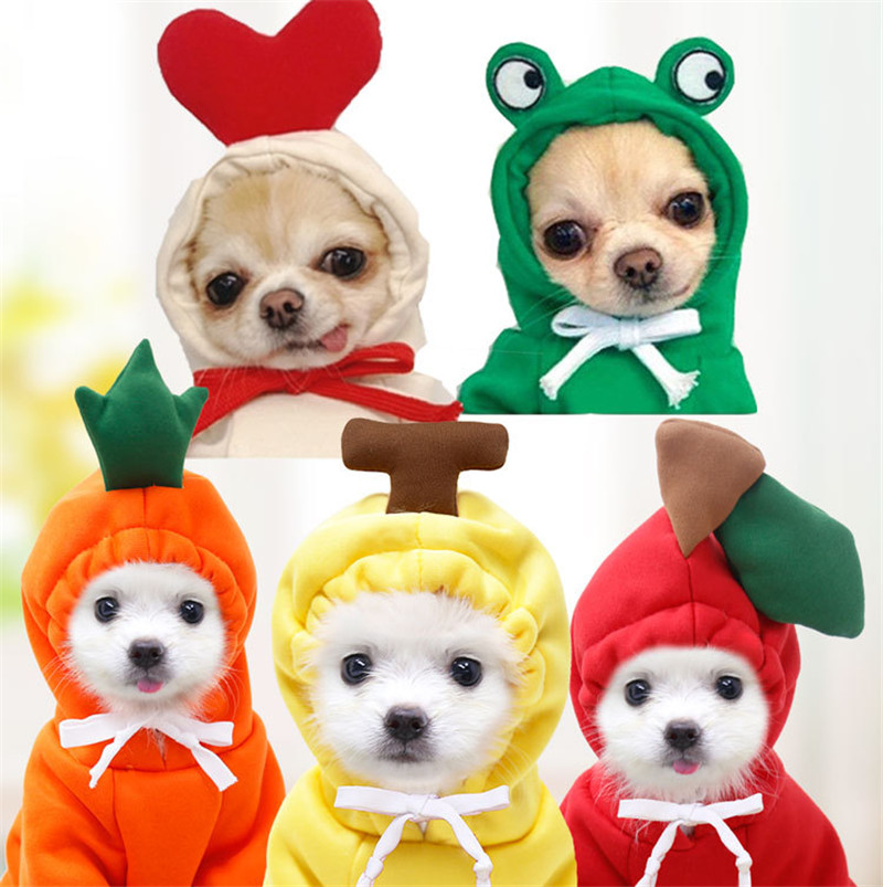Simpatici vestiti per cani da  - Winter Clothing Pictures recensione e prezzo