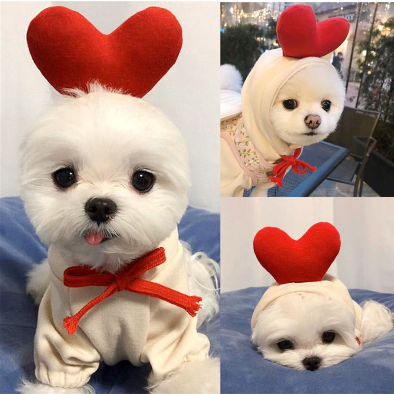 Simpatici vestiti per cani da  - Winter Clothing Pictures recensione e prezzo