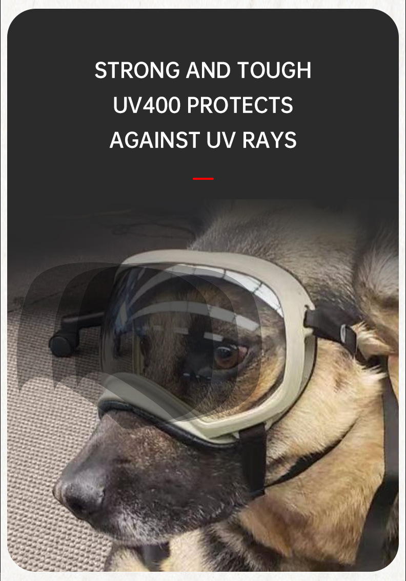 Occhiali da sole per cani che  - Snow Goggle Uv recensione e prezzo